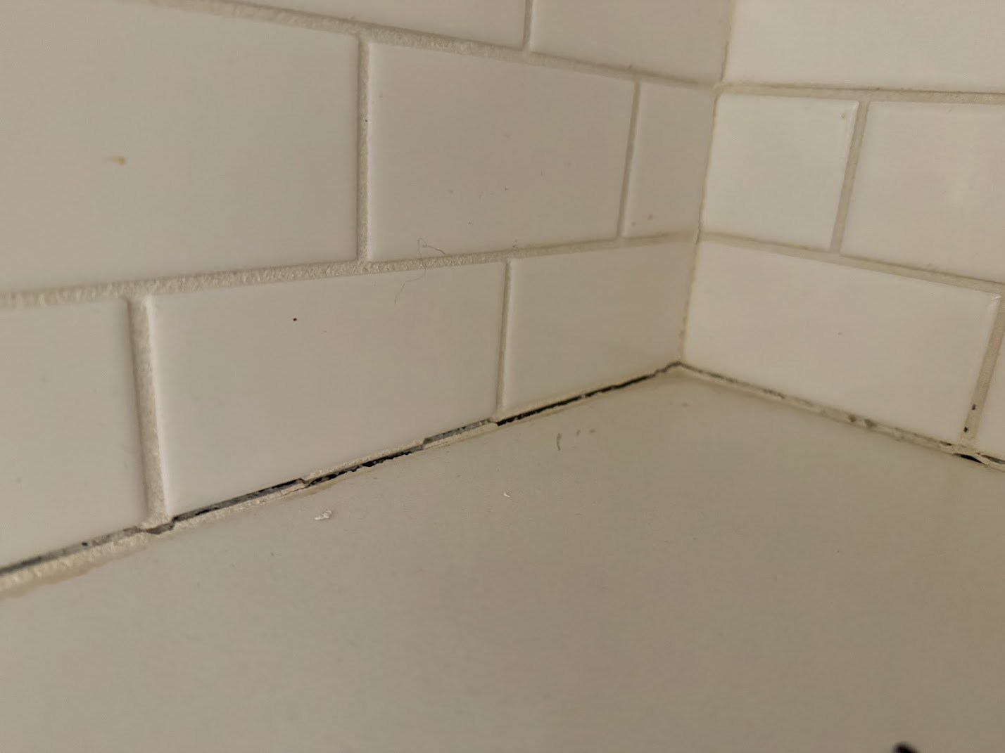 Mastering the First Impression: Your intriguing post title goes here Caulking 1